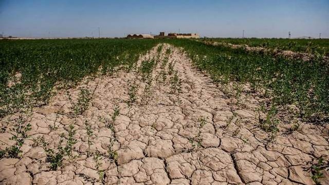 77.5 درصد گستره خراسان شمالی درگیر خشکسالی است/فراوانی روزهای آلوده در نیمه دوم سال 1400,